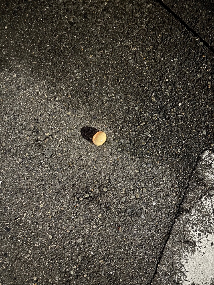 MY HONEY日記1596625