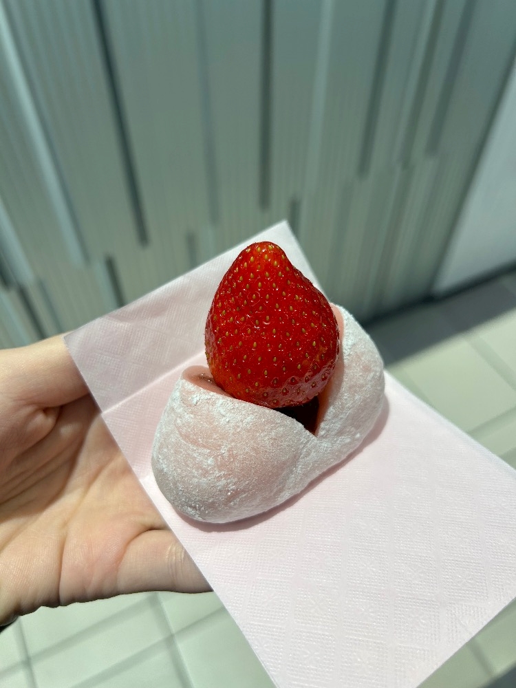 一条 葵