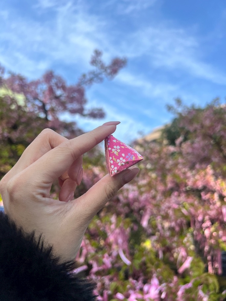 La vie et 神田日記1610329