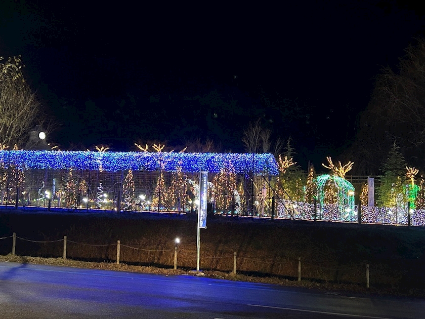 Bar Lounge 莉音　彦根駅前店日記1560440