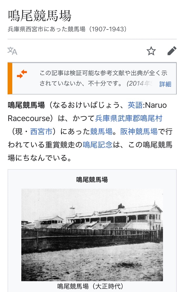 🐎🐎【宝塚記念】阪神競馬場とは昔、鳴尾競馬場であった🐎🐎