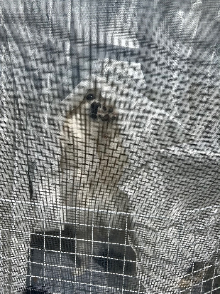 ママ七瀬　あや