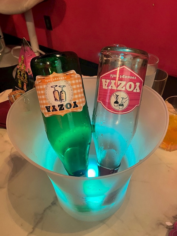 一条 葵