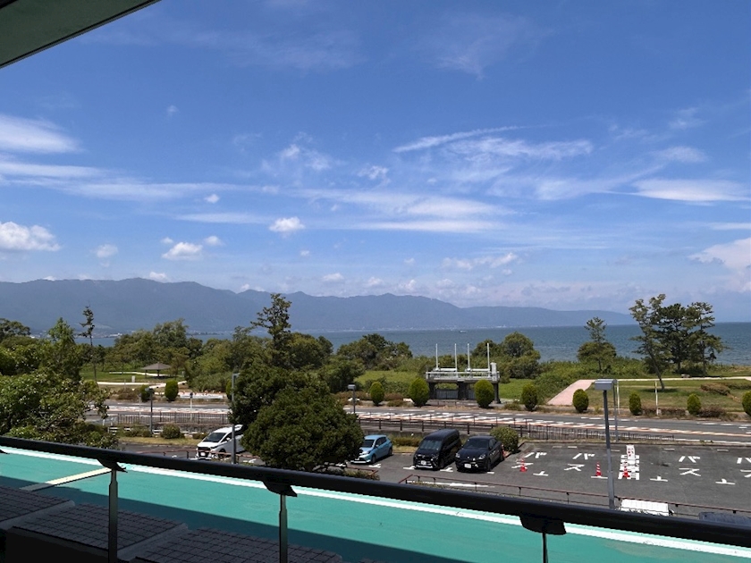 一条 葵