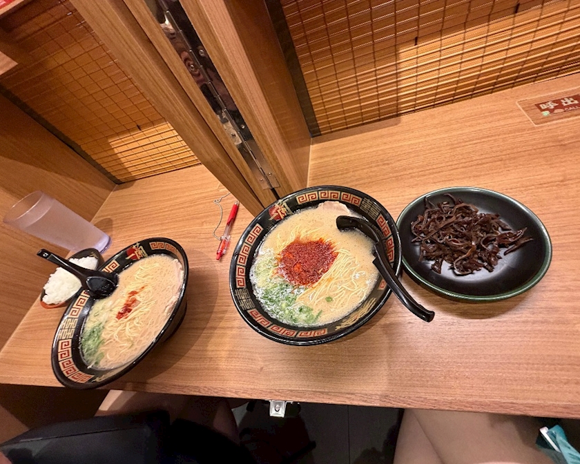 一条 葵