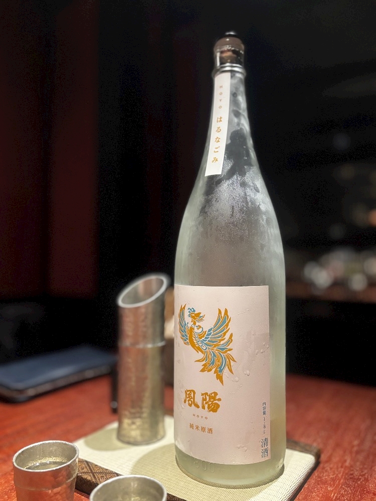 一条 葵