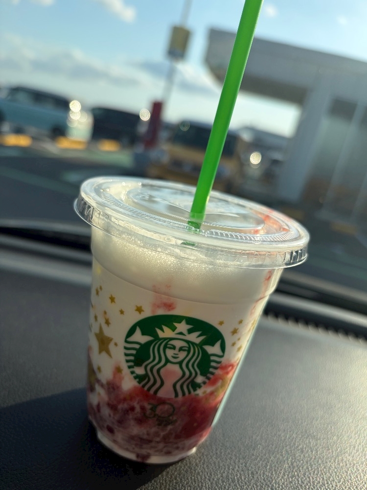 一条 葵