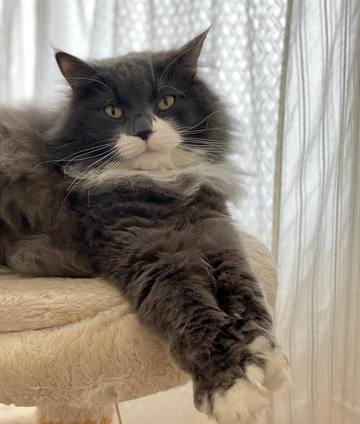 . . . こじたんお足･･･