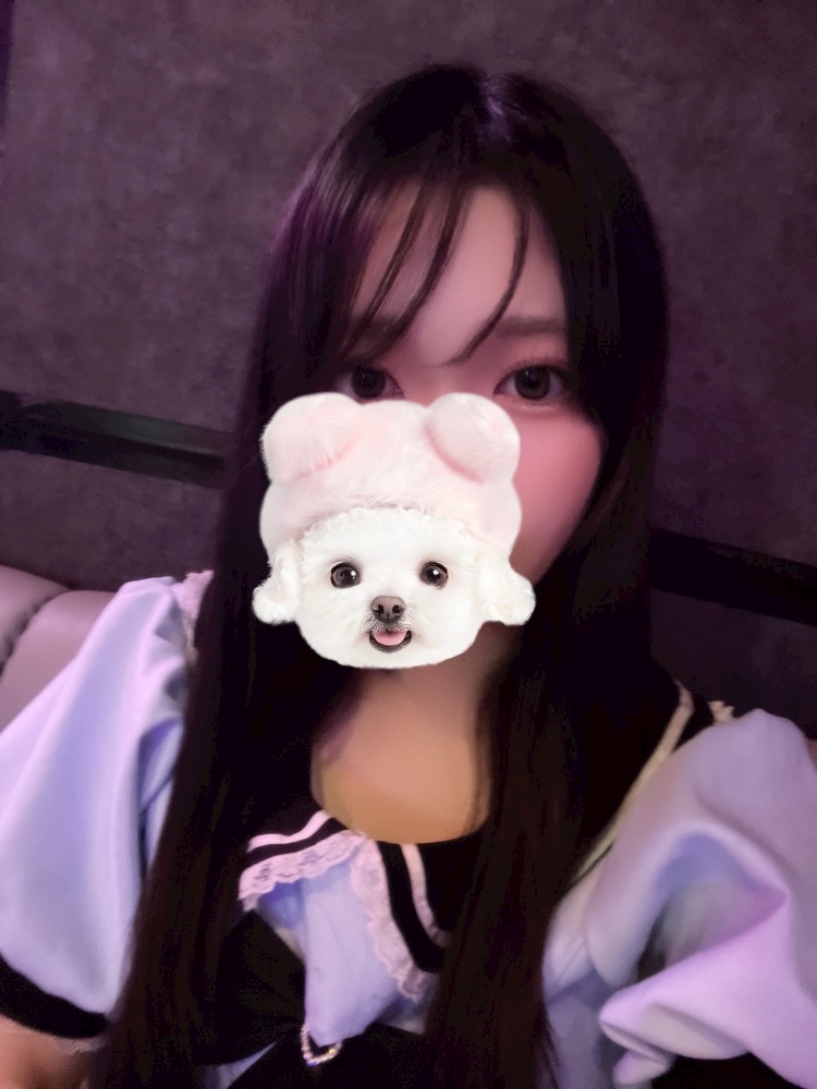 コンカフェ&ラウンジ Hi-Potion日記1614740