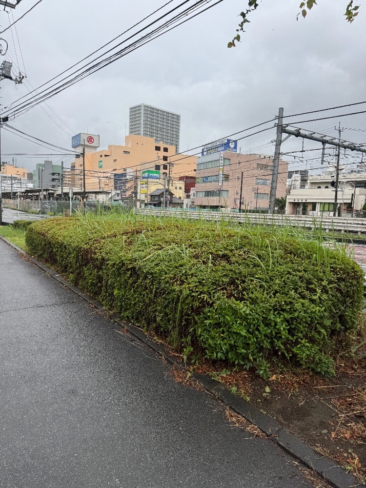 BLUEGATE日記1456468