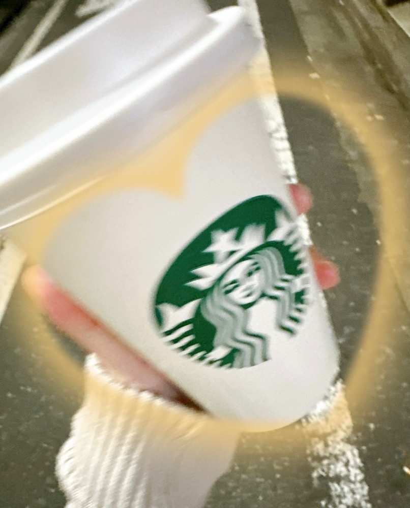 一条 葵