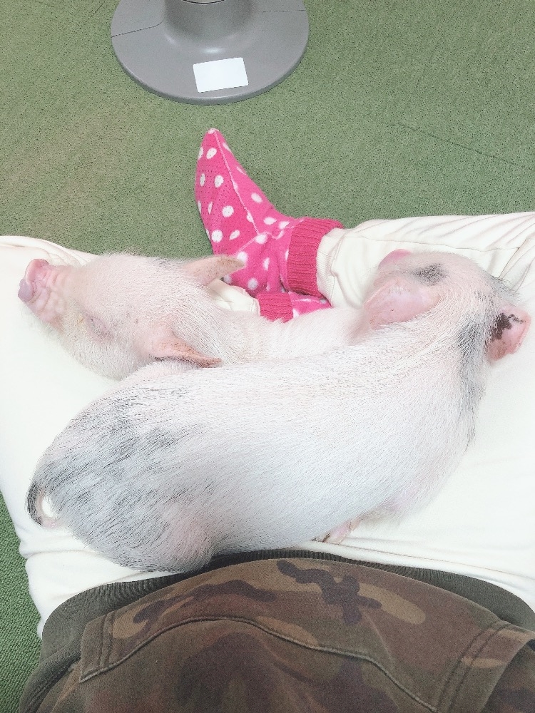 CLUB HANAN日記1622244