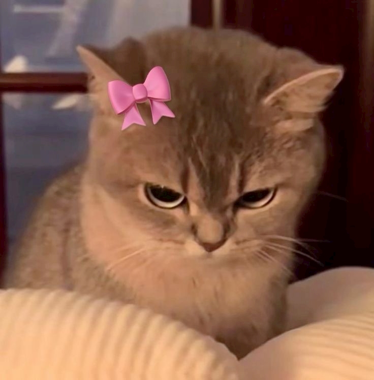 のあ