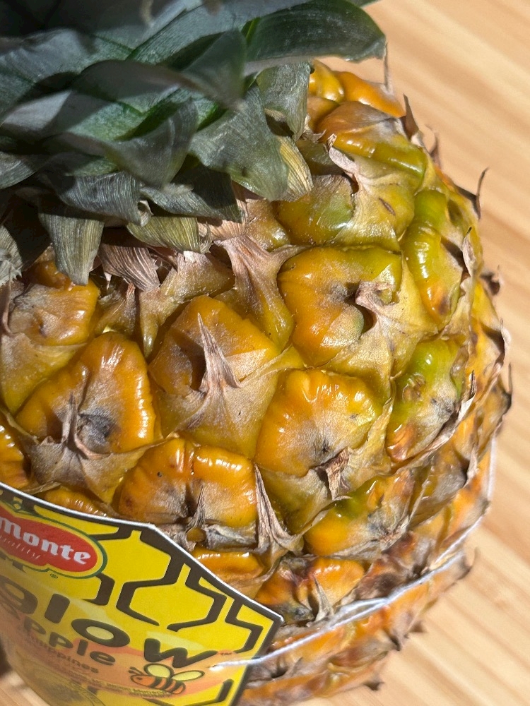 nostalgic bar Antique日記1578953