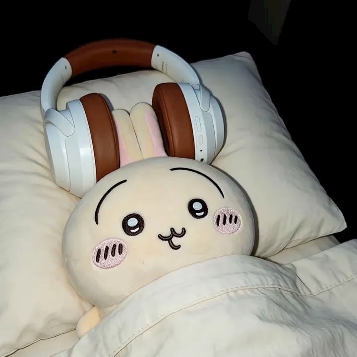 一条 葵