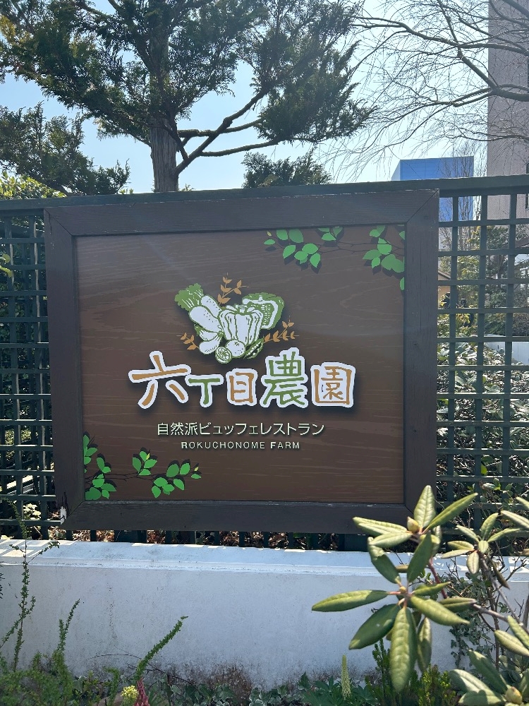 WISTERIA日記1623395