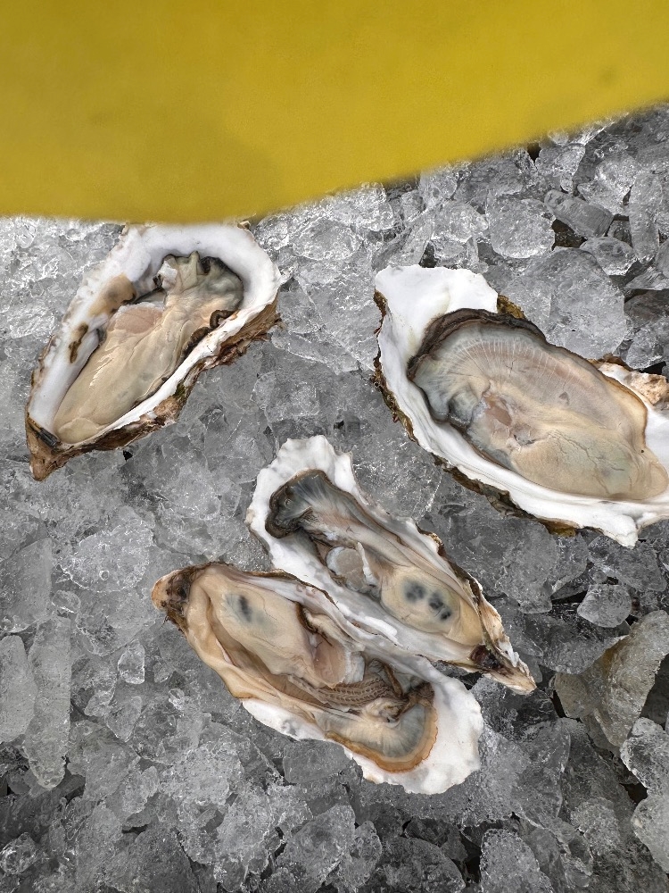 Bar Space Queen日記1610513