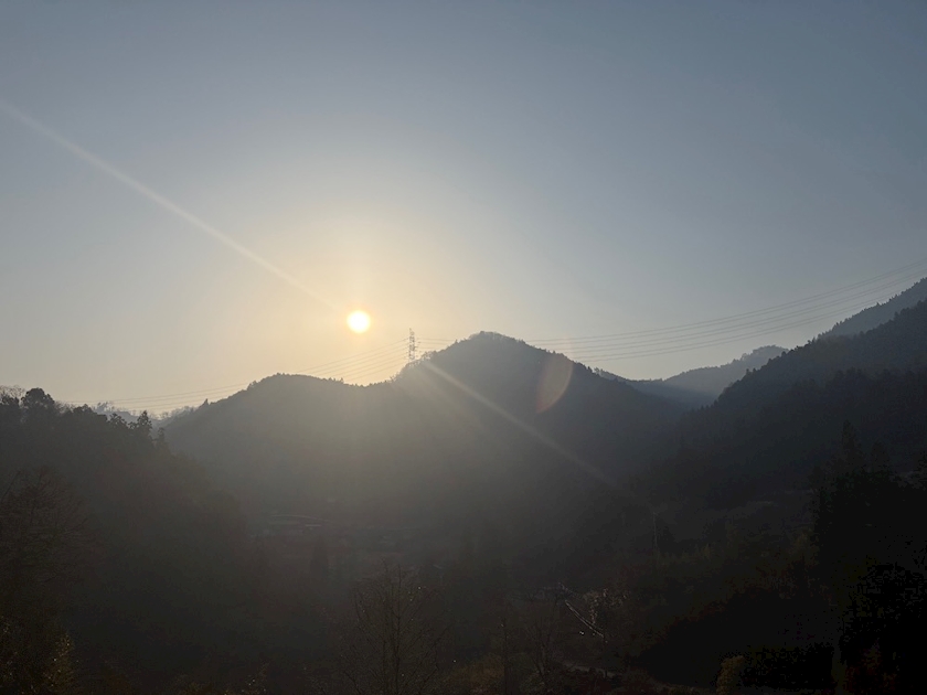 おかえりなさい日記1620132