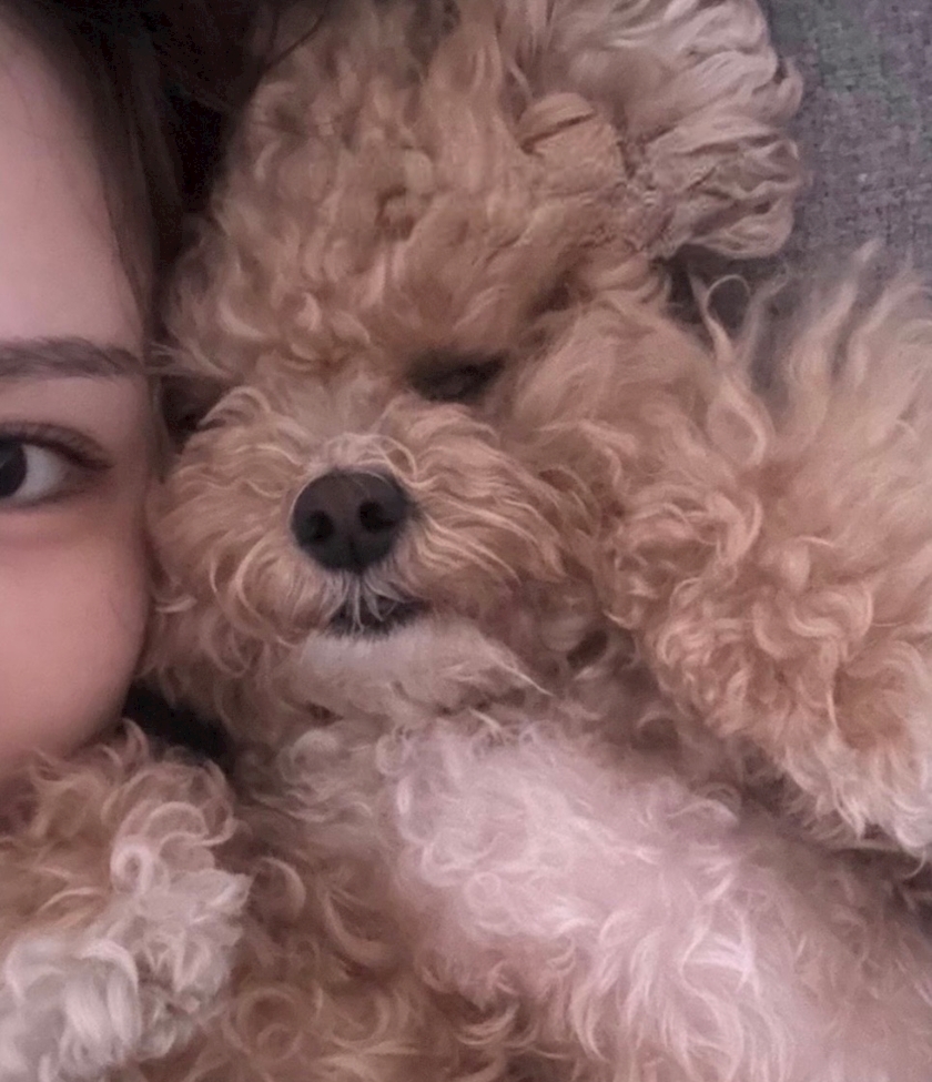 西船橋 VELLUGUE日記1589387