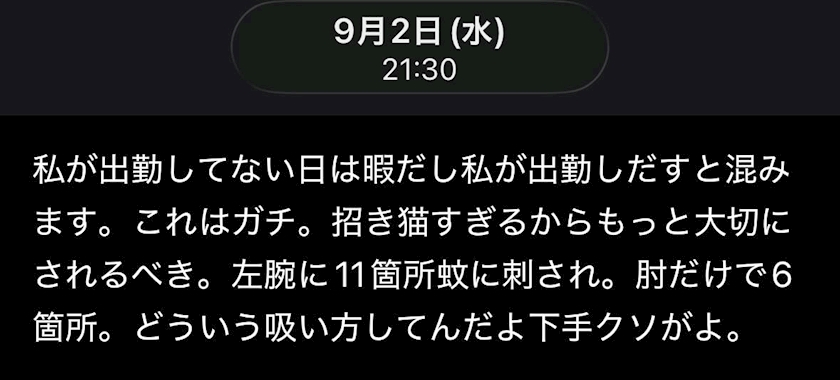一条 葵