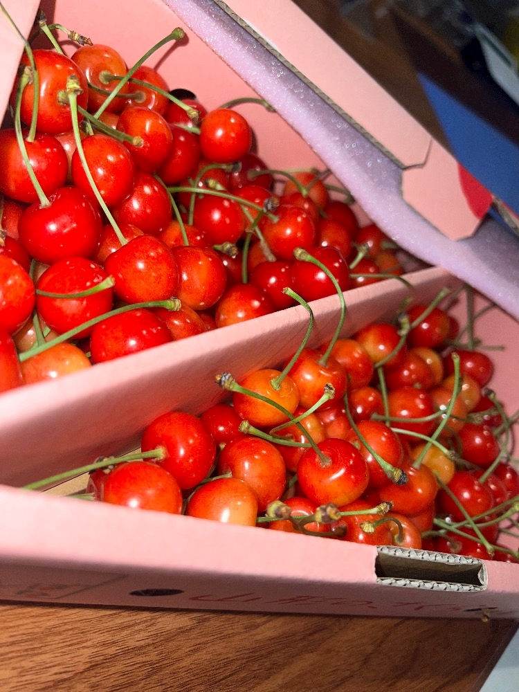 おやすみ②🍒🍒ﾟ*｡，｡*ﾟ*｡，🍒🍒ﾟ*｡，｡*ﾟ*｡🍒🍒