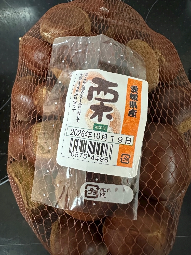 一条 葵