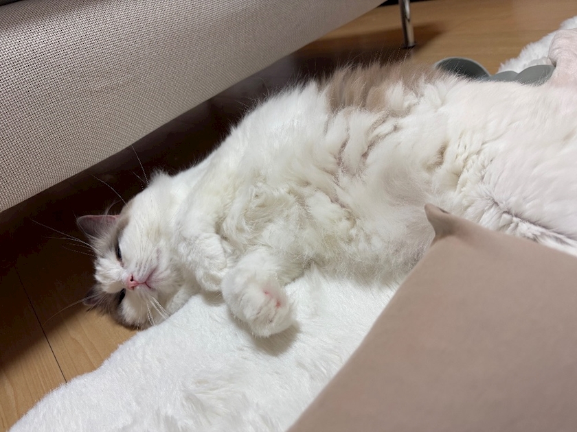 クラブグリム・浜松千歳店日記1556512