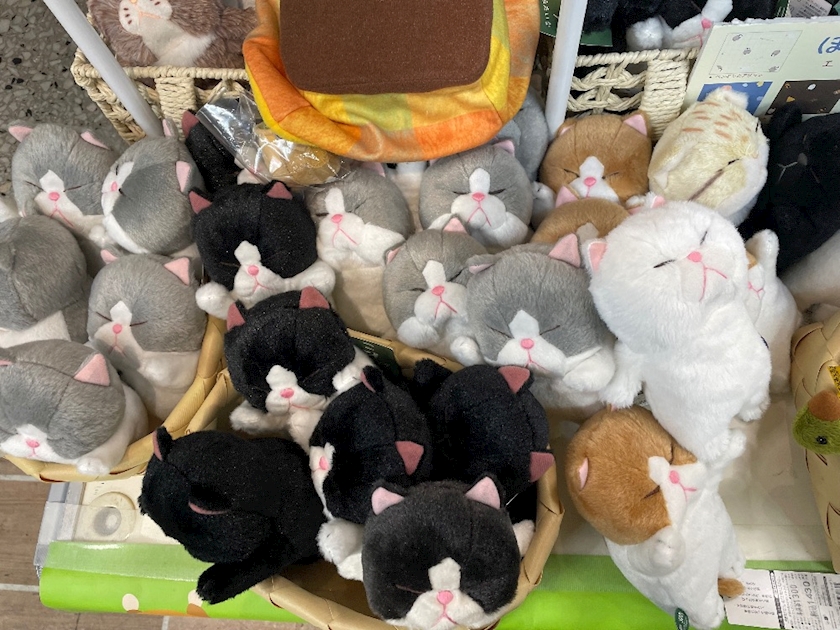 おかえりなさい日記1560110