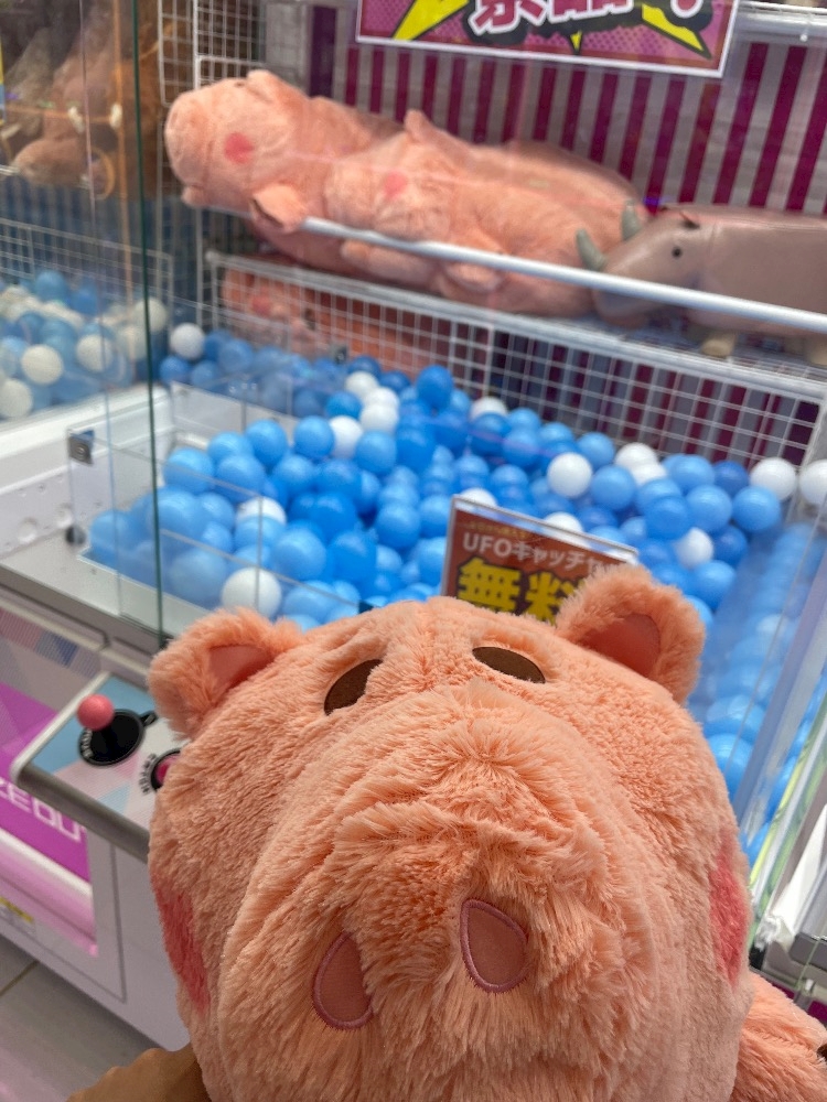 クラブカゲロウ・錦日記1750025