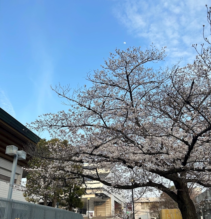 club MARVELOUS日記1625377