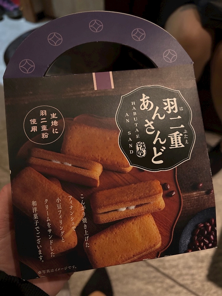 一条 葵