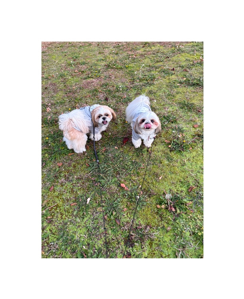 Bar Lounge 莉音　彦根駅前店日記1571032