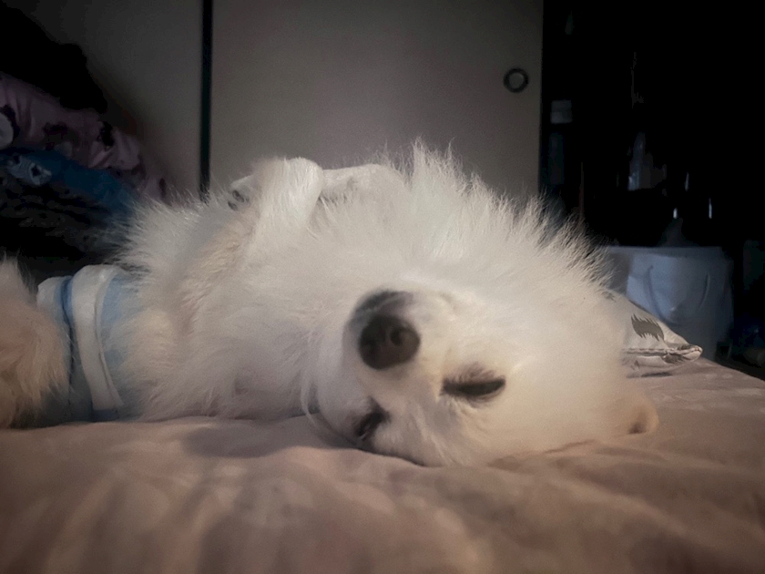 ママ七瀬　あや