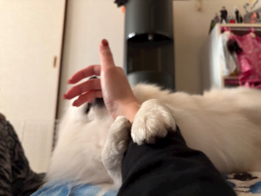 ママ七瀬　あや