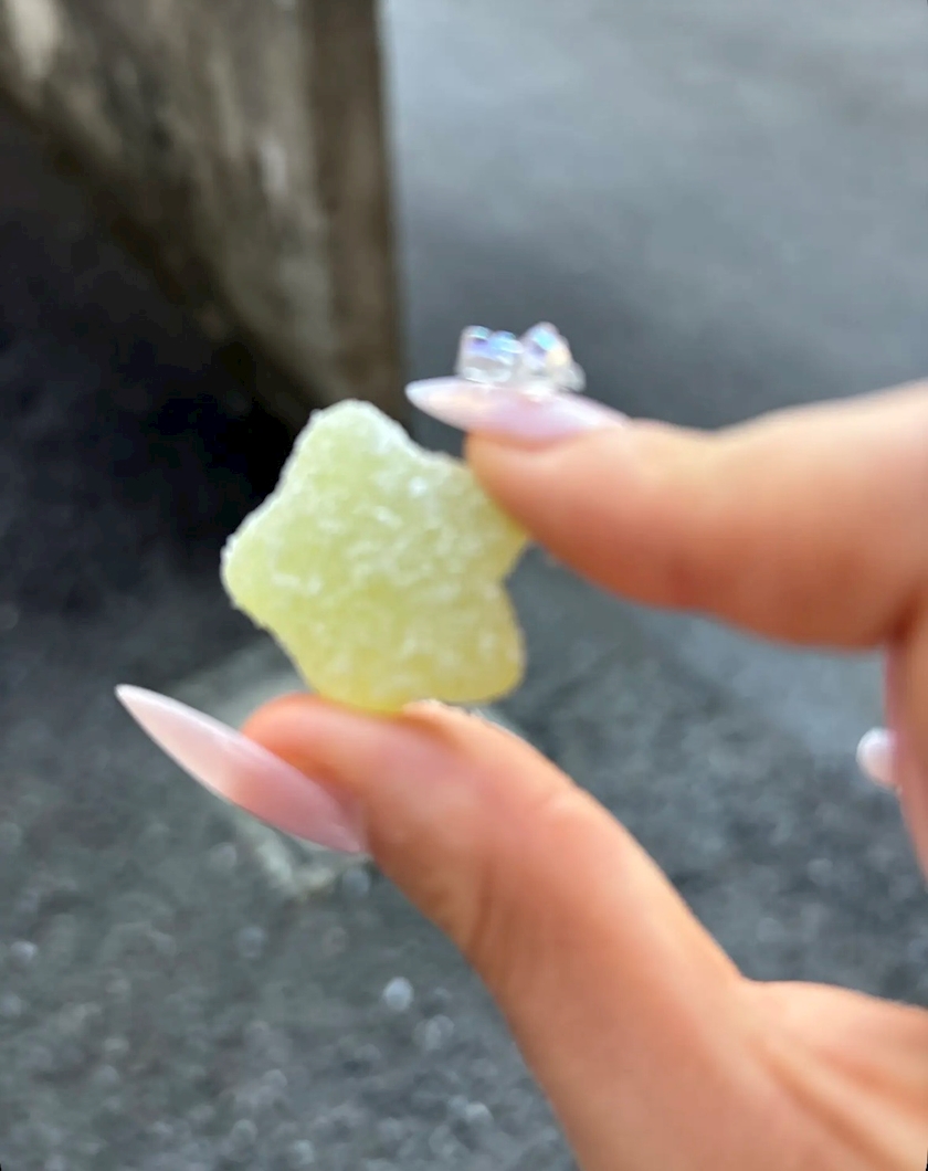 一条 葵
