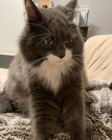 . . . ふみふみタイ･･･