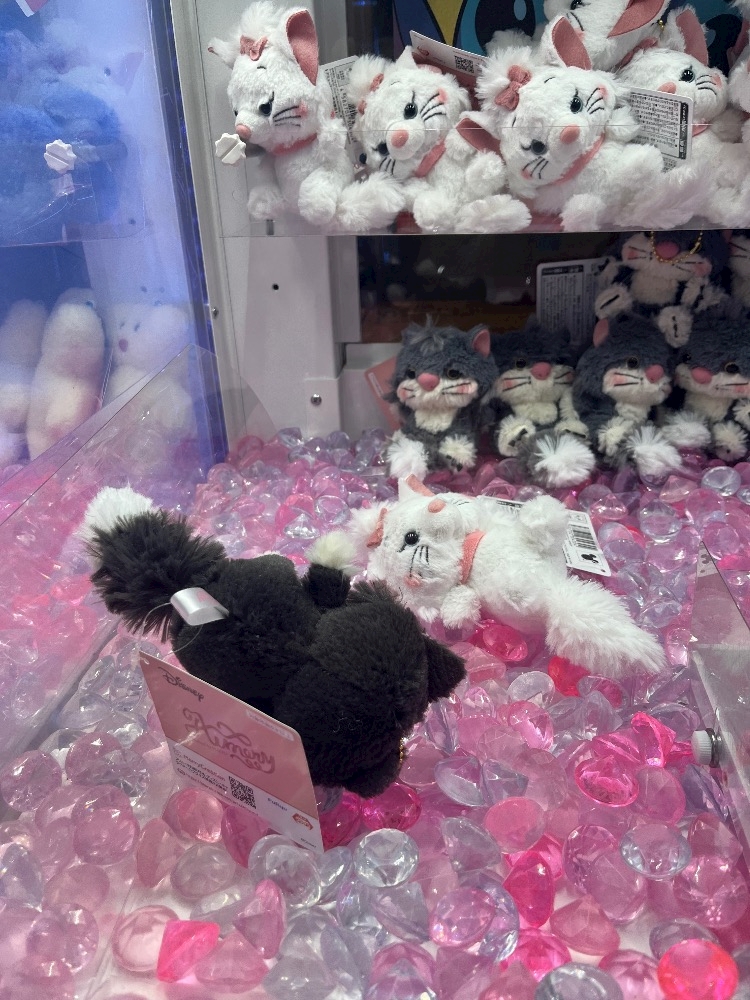 ガールズカフェ orange日記1587528