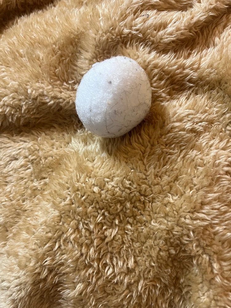 Lounge L’Atelier日記1556778