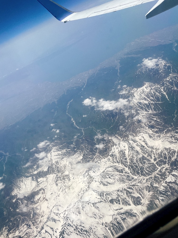 華の金曜日🌼*･