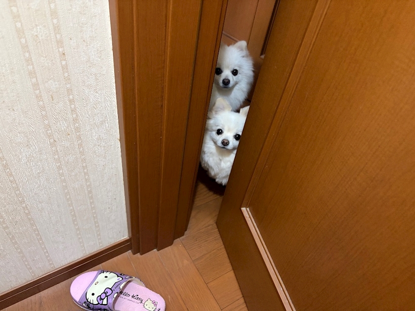 ママ七瀬　あや