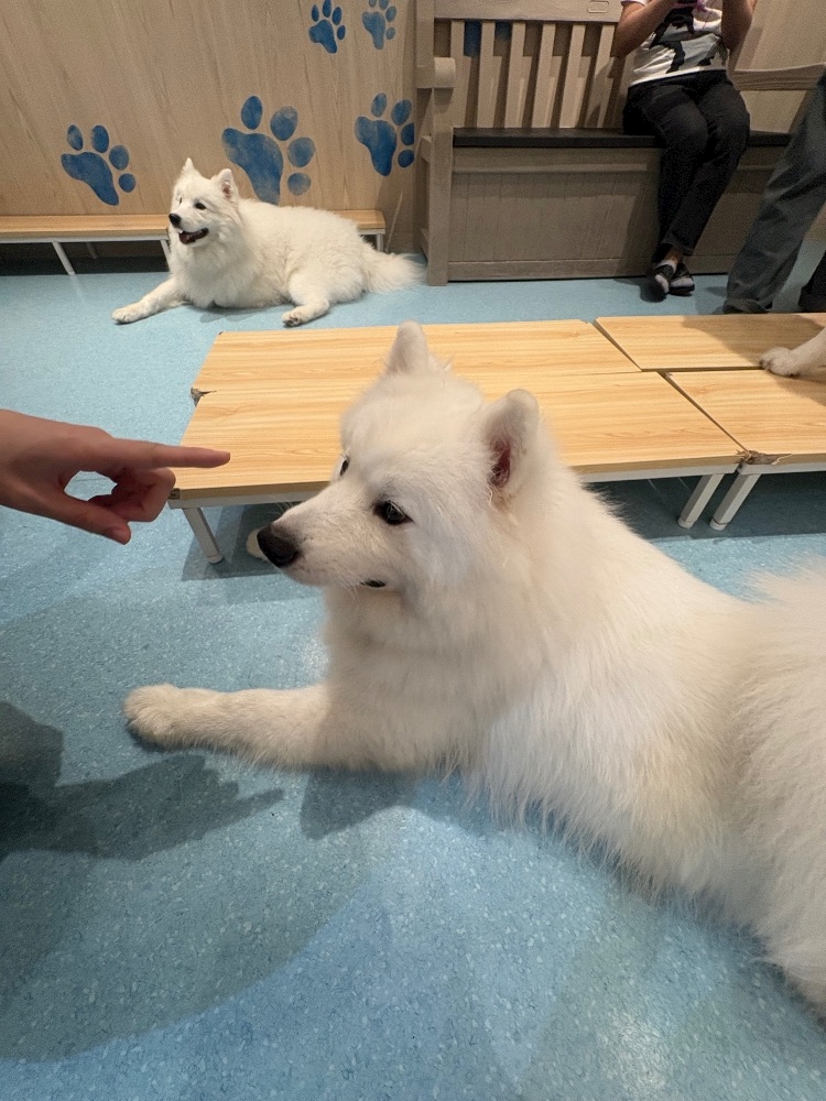 Lounge 暖日記1486560