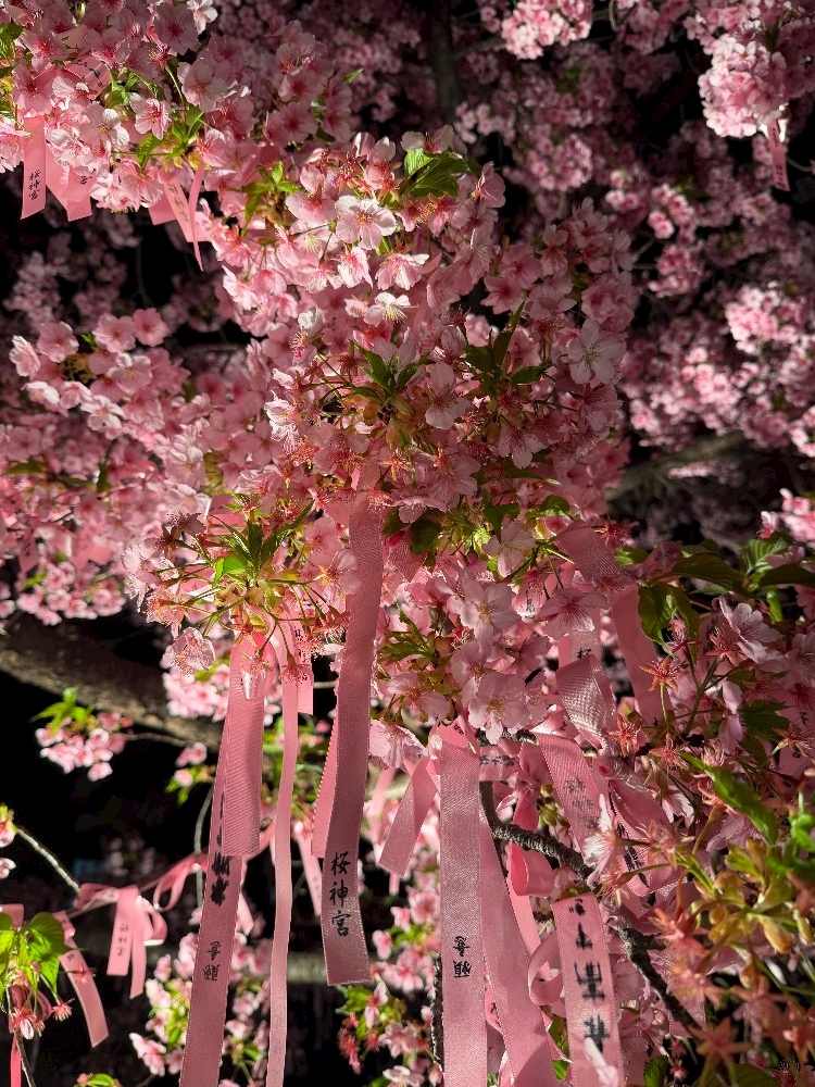 La vie et 中目黒日記1611333