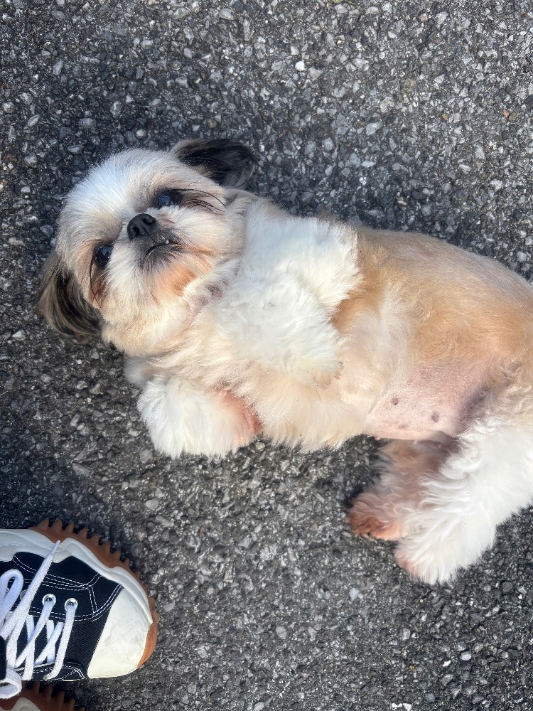 Lounge L’Atelier日記1560747