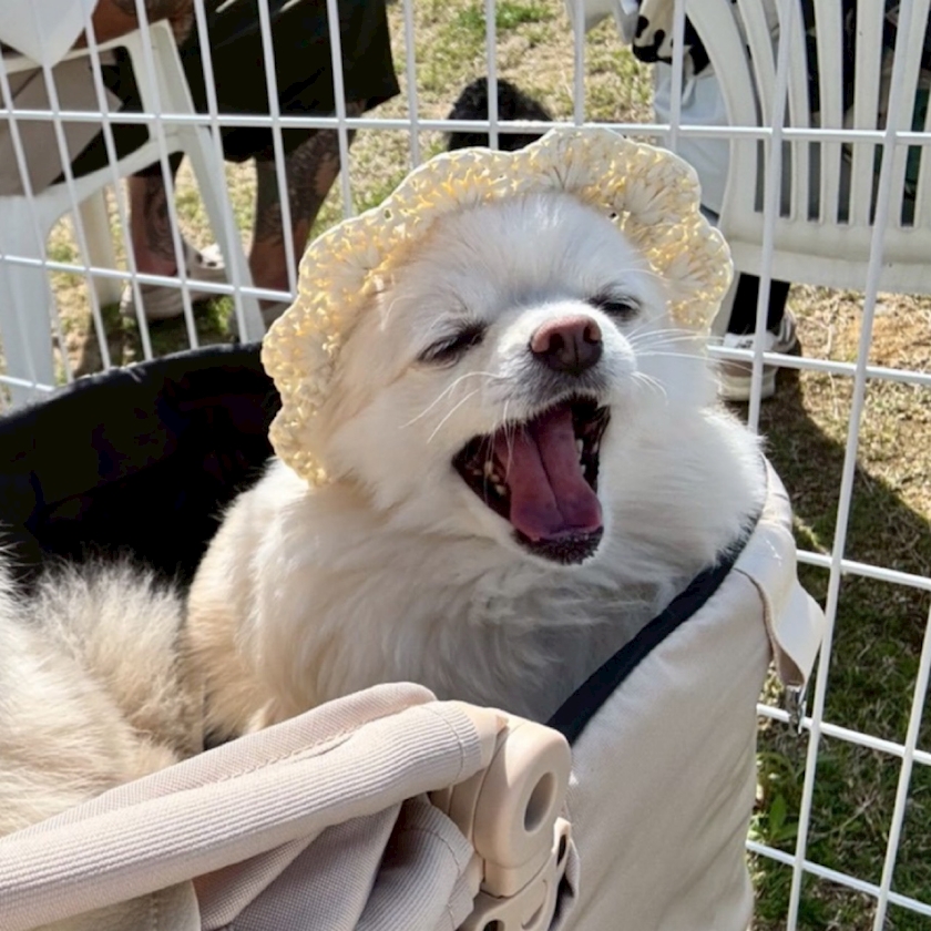 ママ七瀬　あや