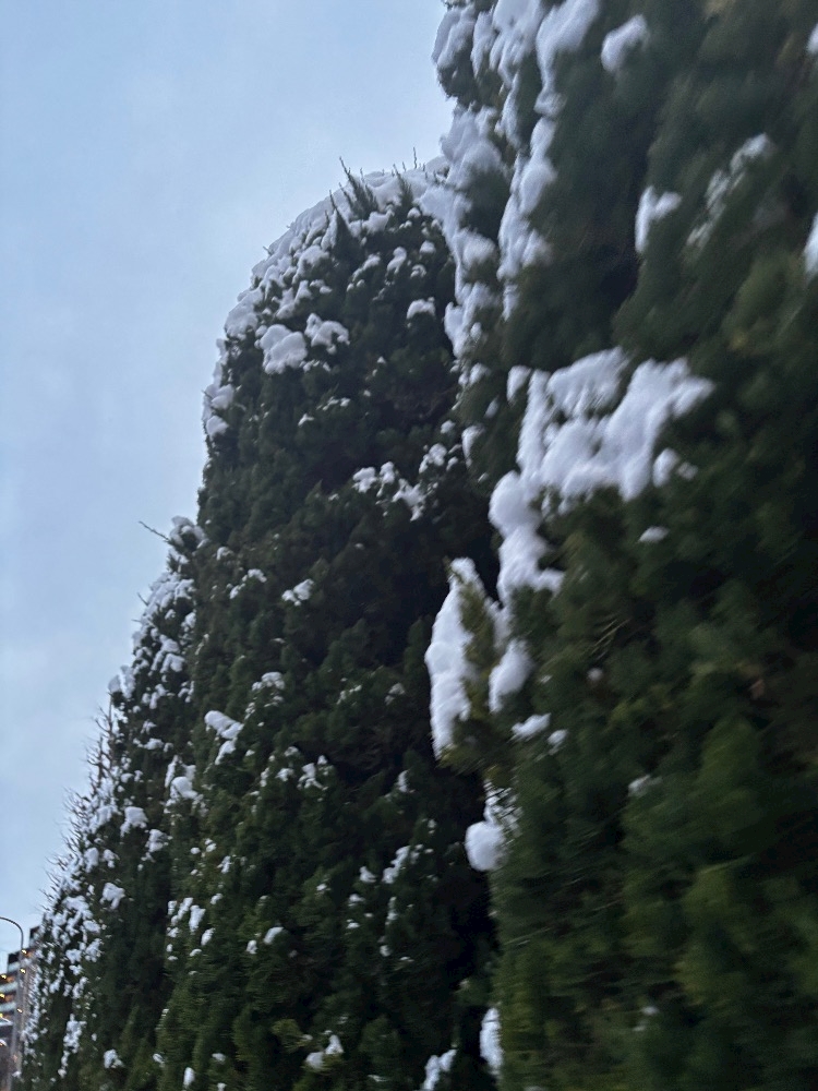 ThePARIS日記1590228