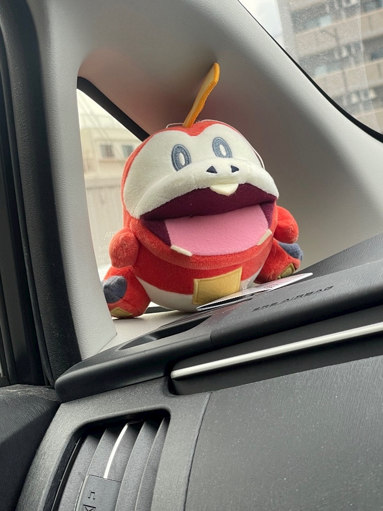 窓からホゲータ🫠🫠🫠