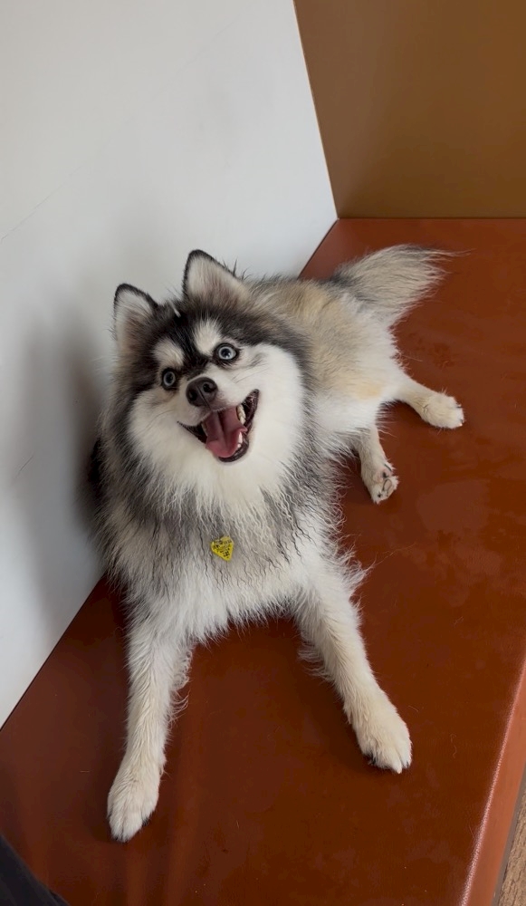 西船橋 VELLUGUE日記1513926