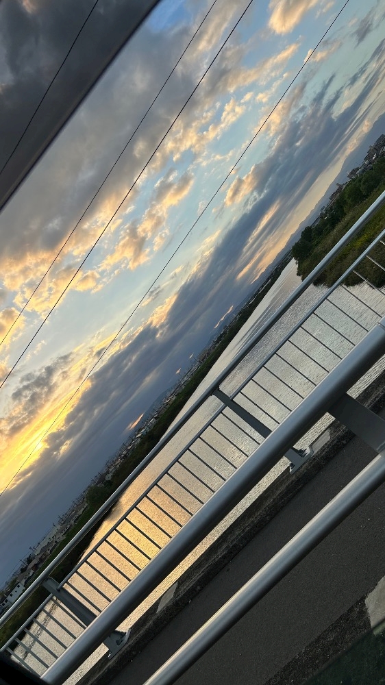 一条 葵