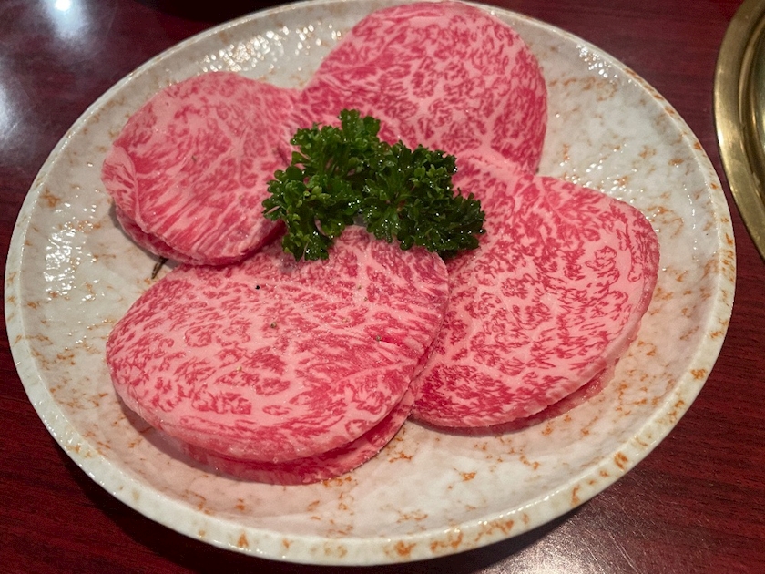 BLUEGATE日記1237889