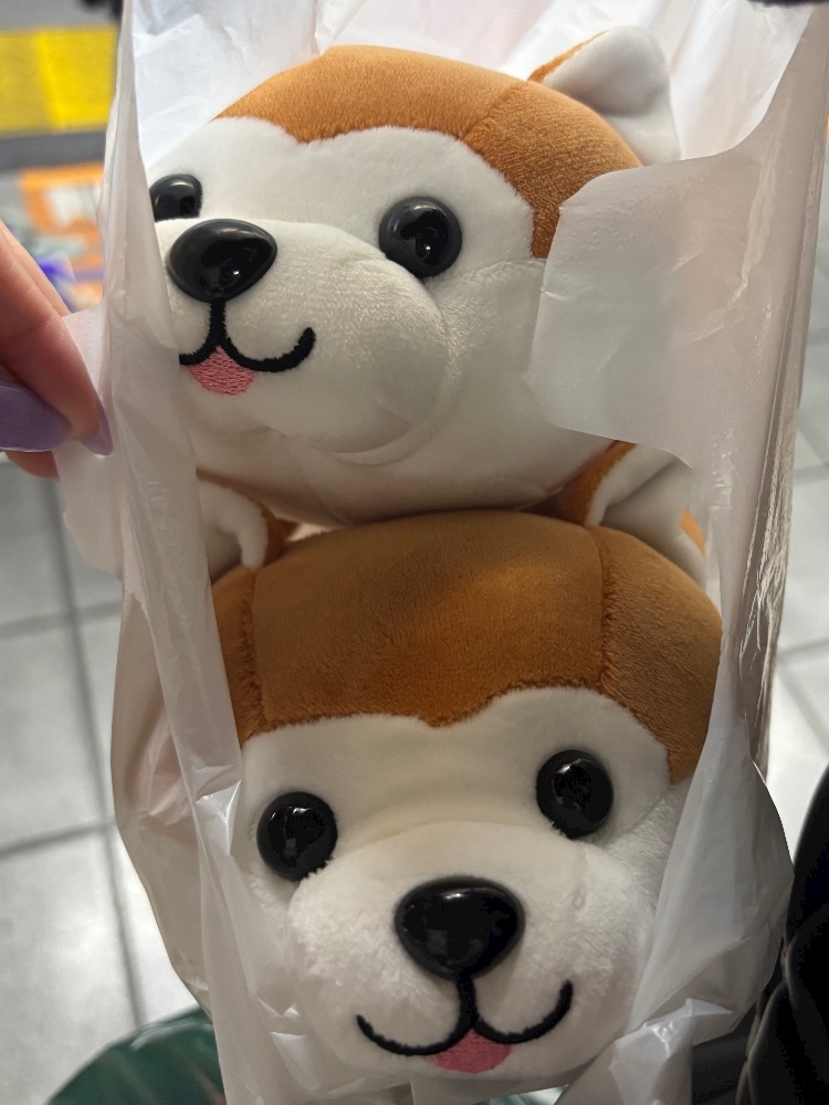 ガールズカフェ orange日記1631754